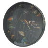 Remo Ocean Drum 16" Fish Graphic