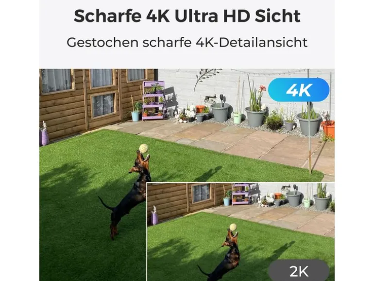 Reolink Netzwerkkamera P430 4K