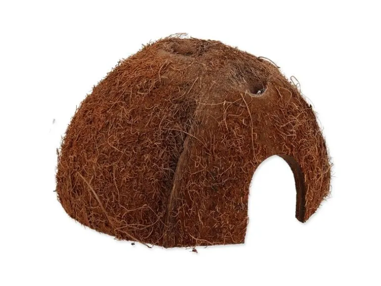 Repti Planet Coco Schale M