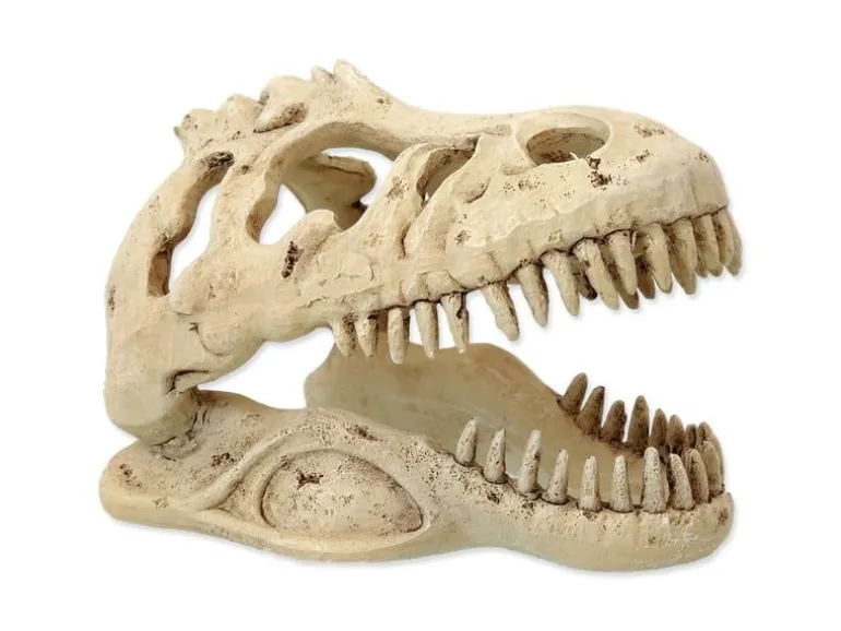 Repti Planet Dekoschädel T-Rex