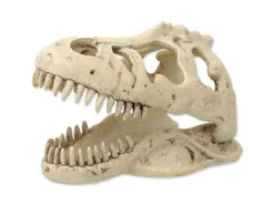 Repti Planet Dekoschädel T-Rex