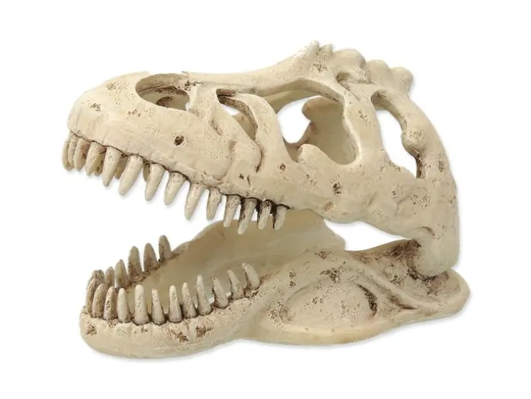 Repti Planet Dekoschädel T-Rex