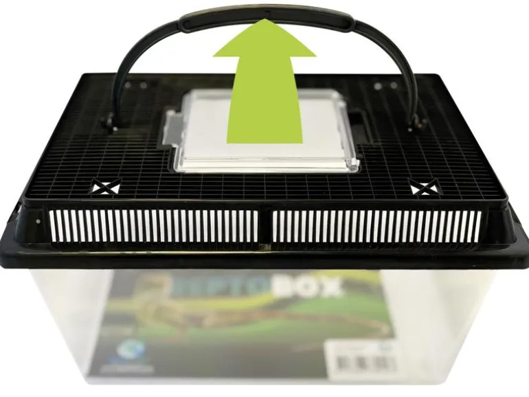 Repto Kunststoffterrarium Breedingbox M, 27 x 17 x 16 cm