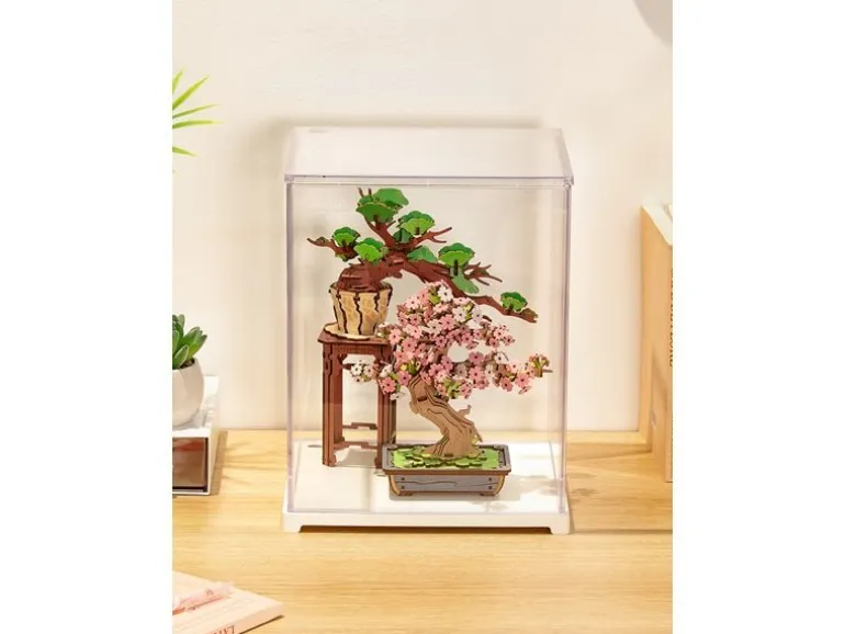 Rolife Bausatz Display box 250 x 249 x 310 mm Transparent