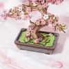 Rolife Bausatz Sakura Bonsai