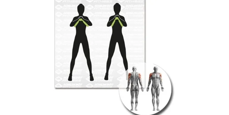 Schildkröt Fitness Beintrainer