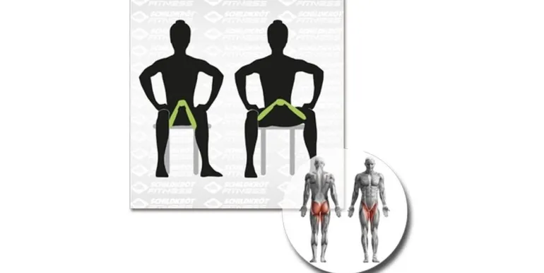 Schildkröt Fitness Beintrainer