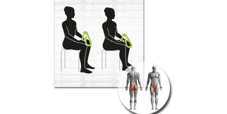 Schildkröt Fitness Beintrainer