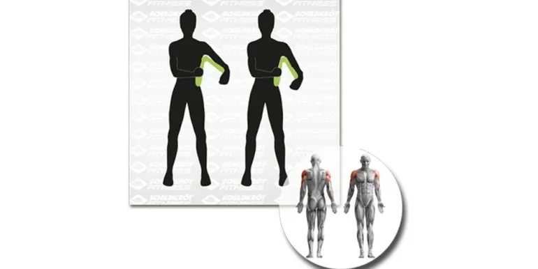 Schildkröt Fitness Beintrainer