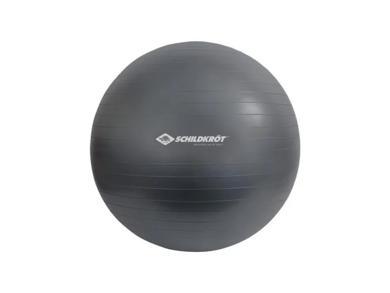 Schildkröt Fitness Gymnastikball 75 cm