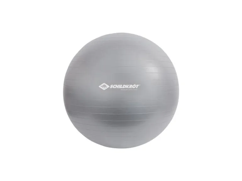 Schildkröt Fitness Gymnastikball 65 cm