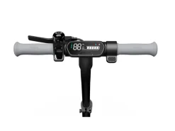 Segway-Ninebot E-Scooter Kickscooter C2 Pro E ZING