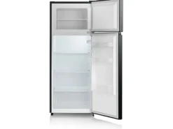 Severin Kühlschrank DT 8762 Schwarz, Rechts, Wechselbar