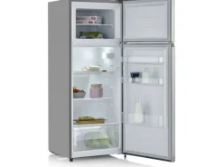 Severin Kühlschrank DT 8761 Silber, Rechts, Wechselbar