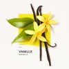 SOLINOTES Eau de Parfum Vanille 50 ml