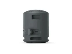 Sony Bluetooth Speaker SRS-XB100 Schwarz