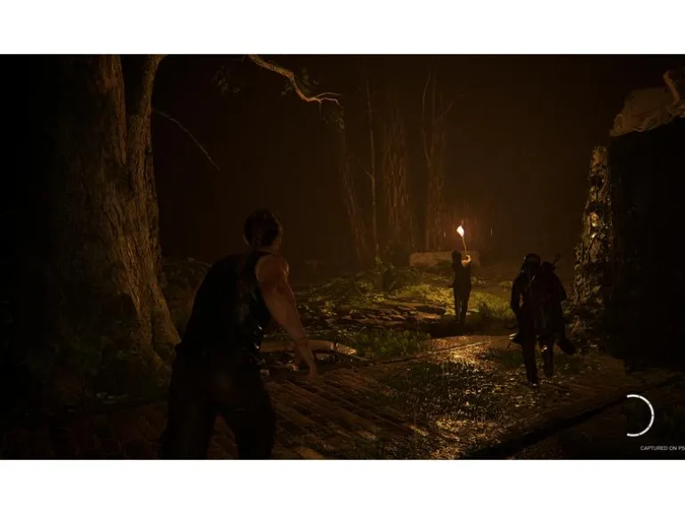 Sony The Last of Us Part II