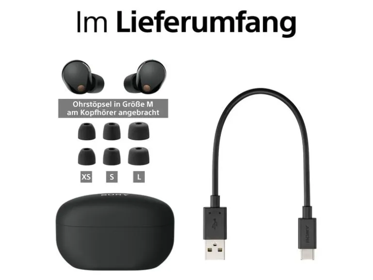 Sony True Wireless In-Ear-Kopfhörer WF-1000XM5 Schwarz