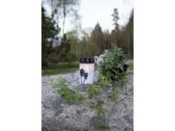 Star Trading LED Grabkerze Löwenzahn, Ø 7 x 12 cm, Weiss