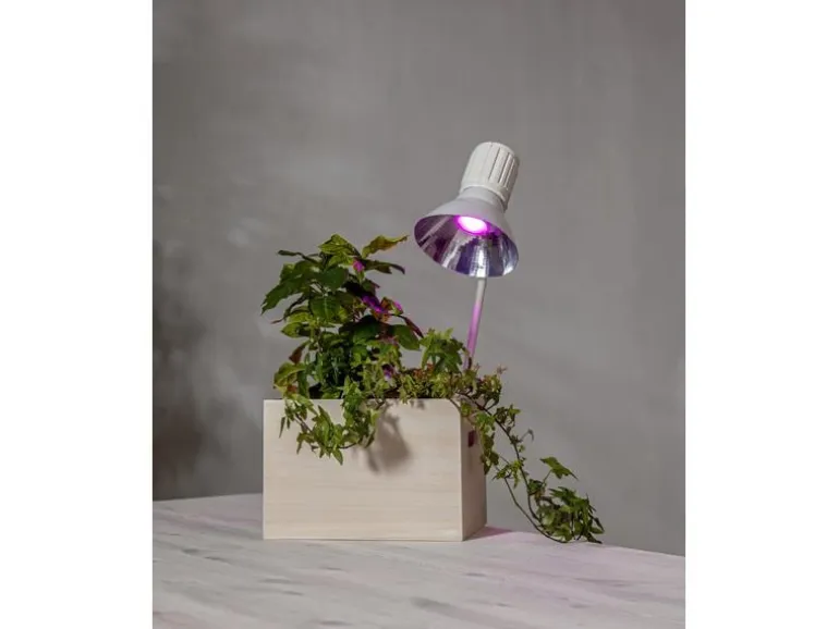 Star Trading Leuchtmittel LED Pflanzen GU10, 3.5 W, 42 lm