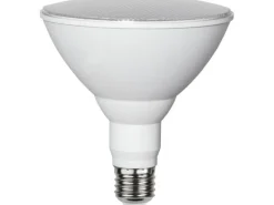 Star Trading Leuchtmittel Plant Light 800cd 16 W E27
