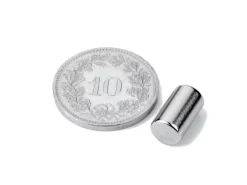 supermagnete Haftmagnet Ø 0.6 cm, 10 Stück