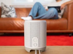 Swisscom WLAN-Bridge WLAN-Box 5 für Box 2 / 3 / 4 / 5 / 5 Pro