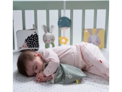 TAF-TOYS Geschenkset Hello Baby 0M+