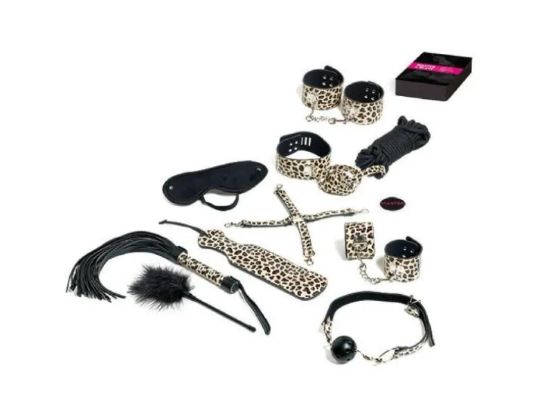 Tease & Please Kartenspiel Master & Slave