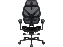 ThunderX3 Bürostuhl FLEX Pro Schwarz