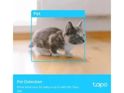 TP-Link Netzwerkkamera Tapo C225
