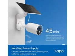 TP-Link Netzwerkkamera Tapo C425 inkl. Solarpanel Tapo A201