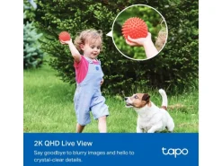 TP-Link Netzwerkkamera Tapo C425 inkl. Solarpanel Tapo A201