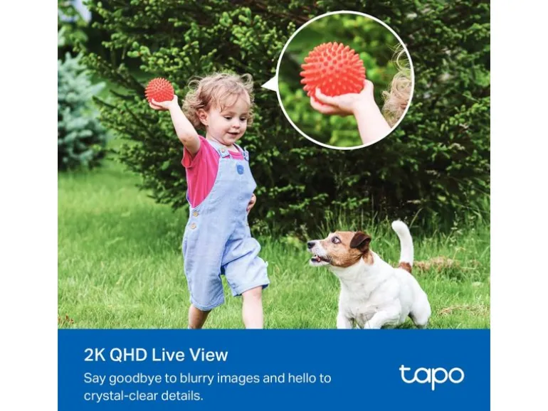 TP-Link Netzwerkkamera Tapo C425 inkl. Solarpanel Tapo A201