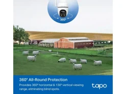 TP-Link Netzwerkkamera Tapo C501GW