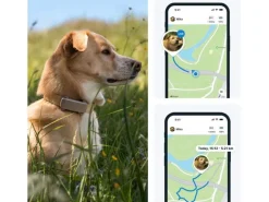 tractive GPS-Tracker DOG 6 Braun
