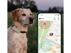 tractive GPS-Tracker DOG 6 Braun