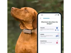 tractive GPS-Tracker DOG 6 Braun