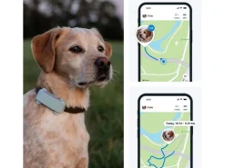 tractive GPS-Tracker DOG 6 Mint