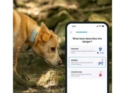 tractive GPS-Tracker DOG 6 Mint