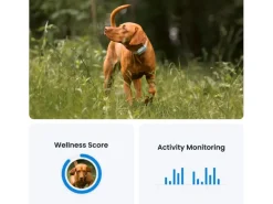 tractive GPS-Tracker DOG 6 Mint
