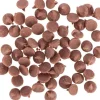 Trixie Vitamin-Drops Waldfrucht, 75 g