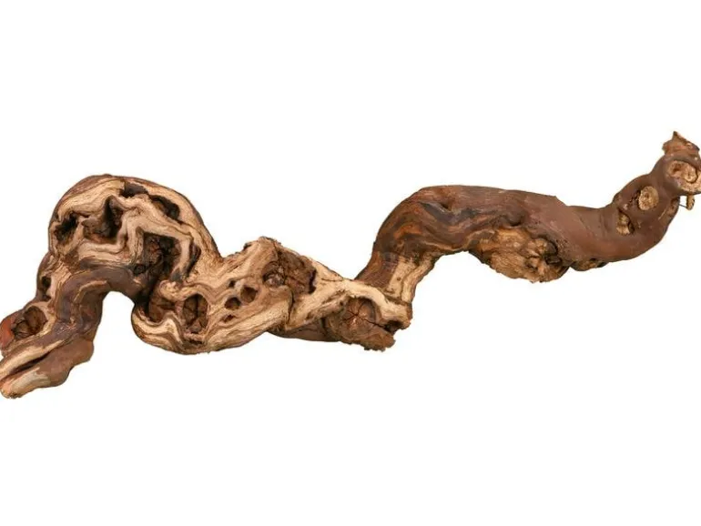 Trixie Weinrebenwurzel M wassergestrahlt, 30 - 40 cm