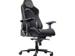 Trust Gaming-Stuhl GXT 721 Ruya Pro Schwarz