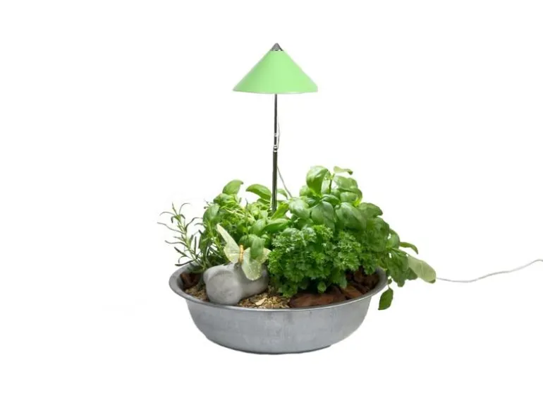 Venso Solutions Pflanzenleuchte SunLite 7 W, Grün