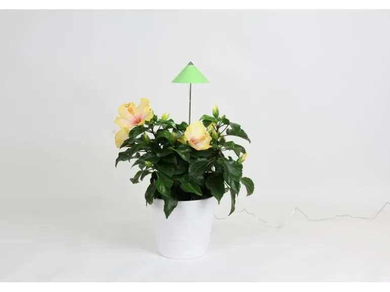 Venso Solutions Pflanzenleuchte SunLite 7 W, Grün