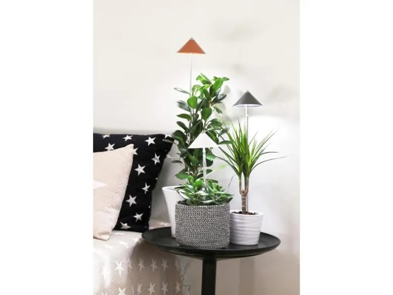 Venso Solutions Pflanzenleuchte SunLite 7 W, Grau