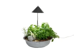 Venso Solutions Pflanzenleuchte SunLite 7 W, Grau