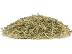 Vitakraft Vita Verde Bio-Kräuterheu, 750 g