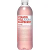 VITAMIN WELL Sportgetränk Zero Raspberry 12 x 0.5 l, zuckerfrei